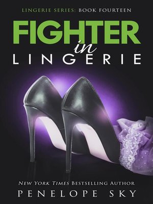 Fighter in Lingerie - ebook